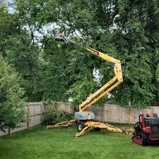 Best Sod Installation  in Wild Peach Village, TX